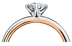 GERVERA ガーベラ 206,800 円(税込)～ 婚約指輪