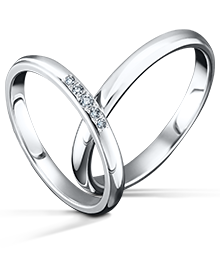 CANAL キャナル(22PR5＆25PR) 231,000 円(税込) 結婚指輪