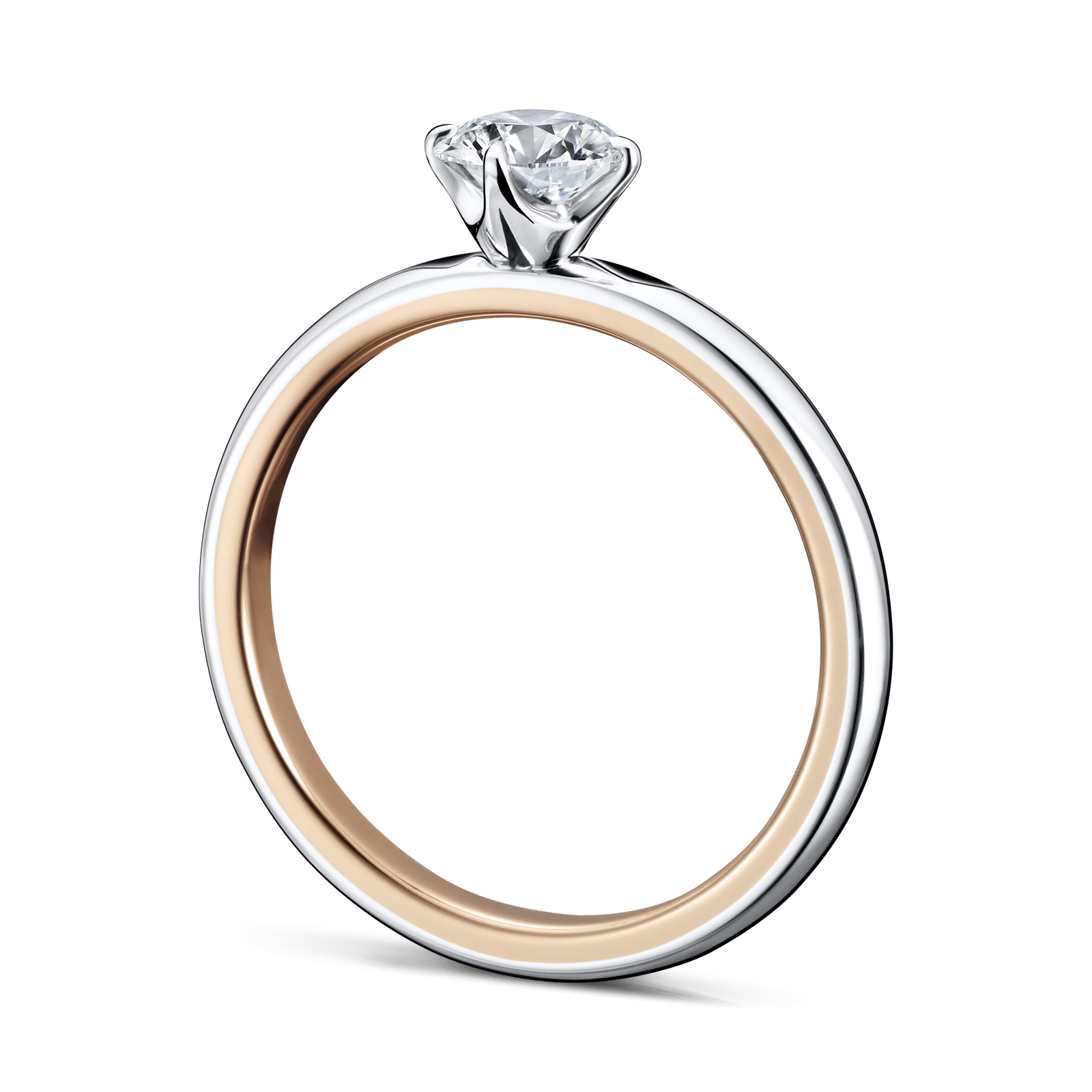 RALEIGH/PERMANENT SLIDER　義眼リング RALEIGH/PERMANENT SLIDER義眼リング